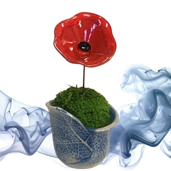 Petit-coquelicot-sur-tige-dans-poterie-feuille-gris-beute